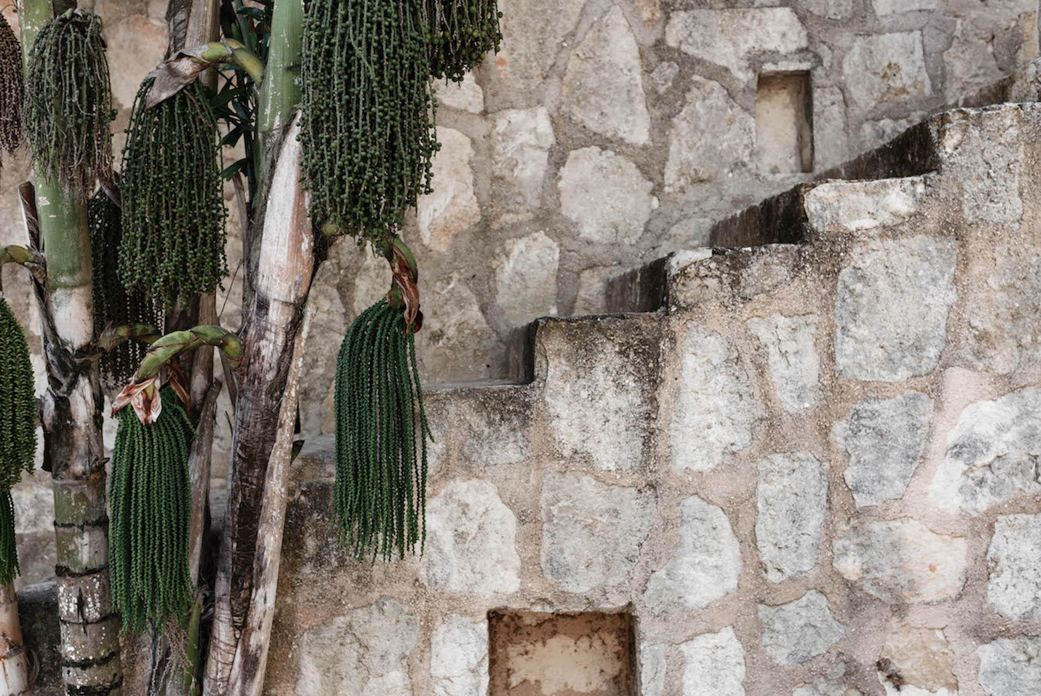 Coqui Coqui Papholchac Coba Residence & Spa Dış mekan fotoğraf