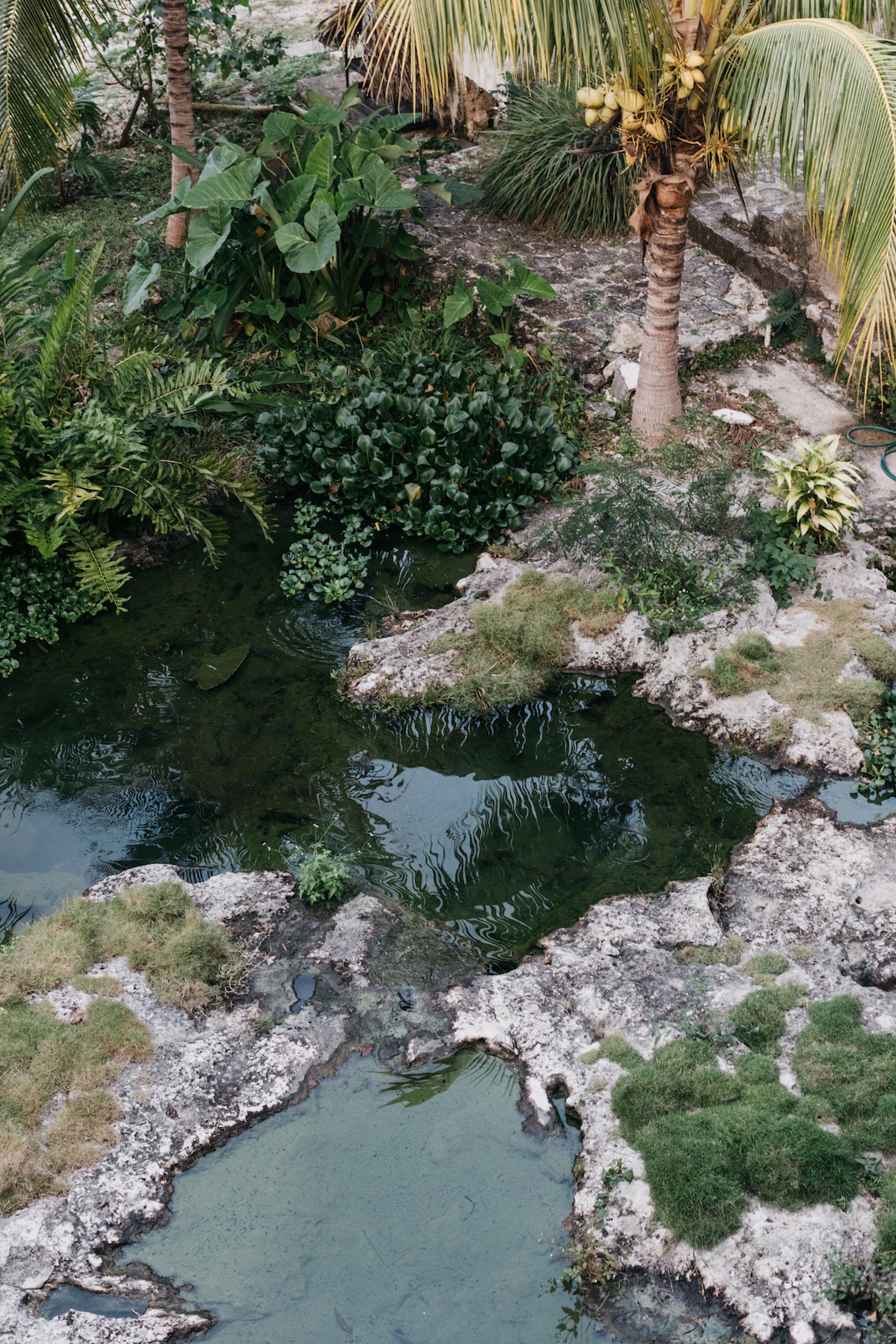 Coqui Coqui Papholchac Coba Residence & Spa Dış mekan fotoğraf